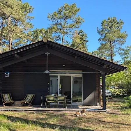 Holiday home La Petite Maison Dans La Pinede Lacanau