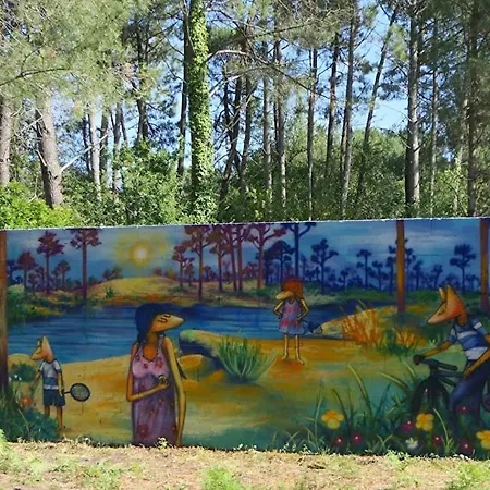 La Petite Maison Dans La Pinede Lacanau