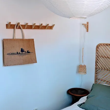 La Petite Maison Dans La Pinede Holiday home Lacanau